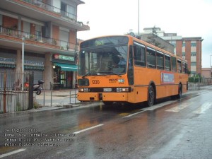 Un autobus in servizio sulla linea atac 981